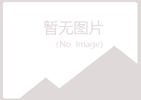 合肥庐阳女孩美容有限公司